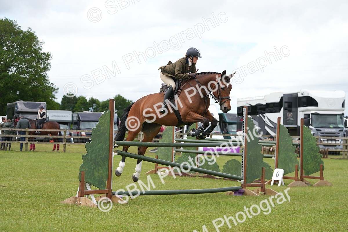 SBM_14958 - Class 100-102 - RIHS Working Hunter