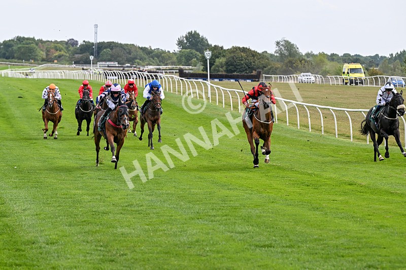 260826-Race 1-Mugheer-2120 - Race 1 14:15 Yorkshire Dales Distillery / EBF Restricted Maiden Stakes