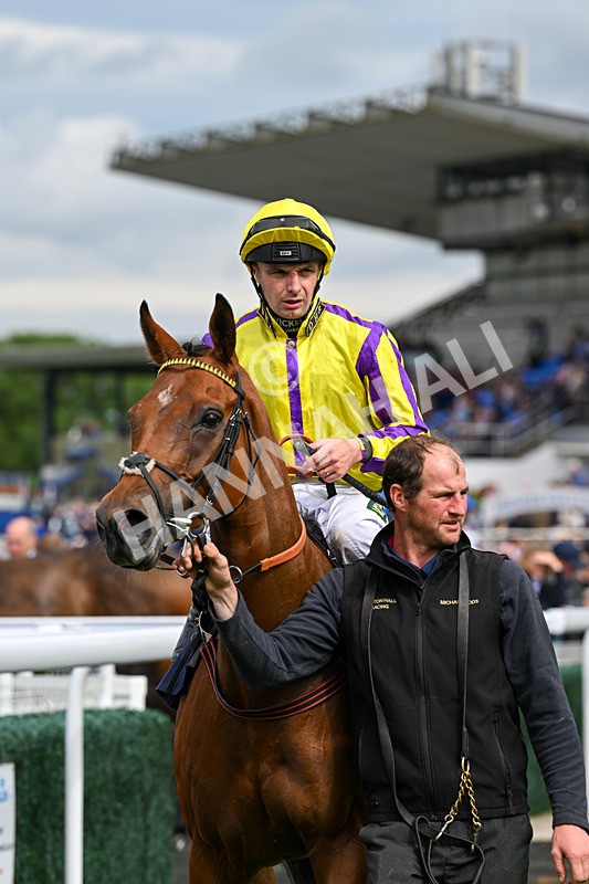 160724-Race 4-Jack Of Clubs-9032 - Race 4