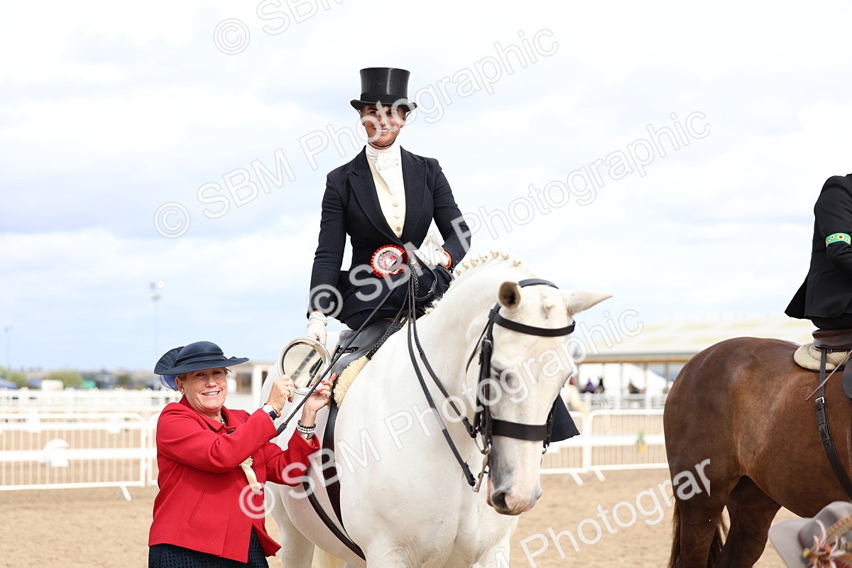 SBM_03473 - Class 24 - SSA Concours d'elegance (any age)