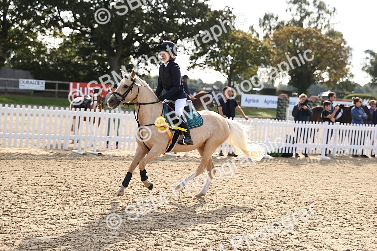SBM_59809 - J11 - Junior Pony 50cm Championship
