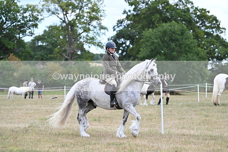 WJ7_4672 - Class 12 Ridden Cob