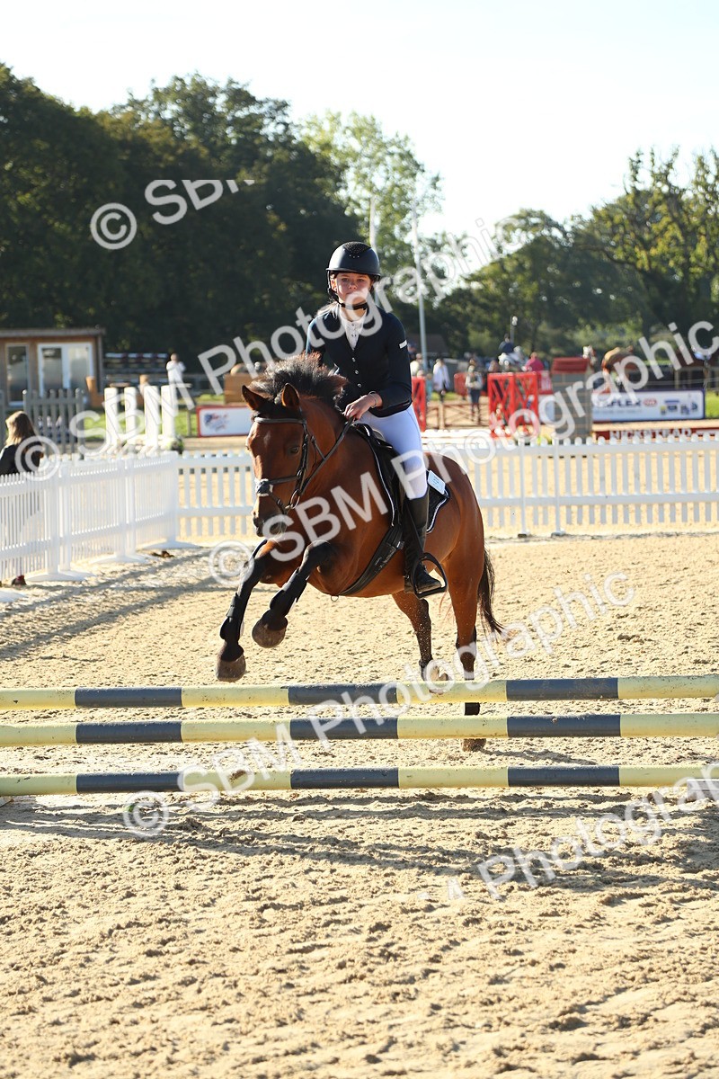 SBM_35788 - J5 - Junior Pony 50cm Championship