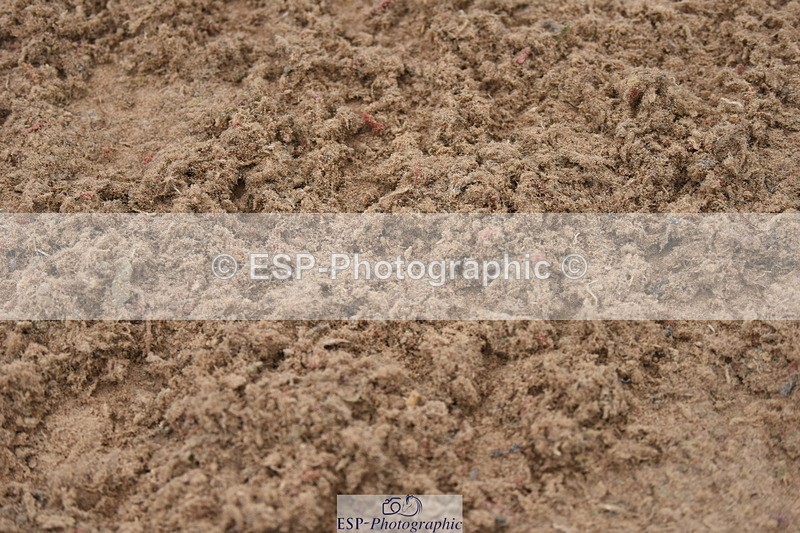 230916A-103514-03846 - Cls 14 Snr Foxhunter