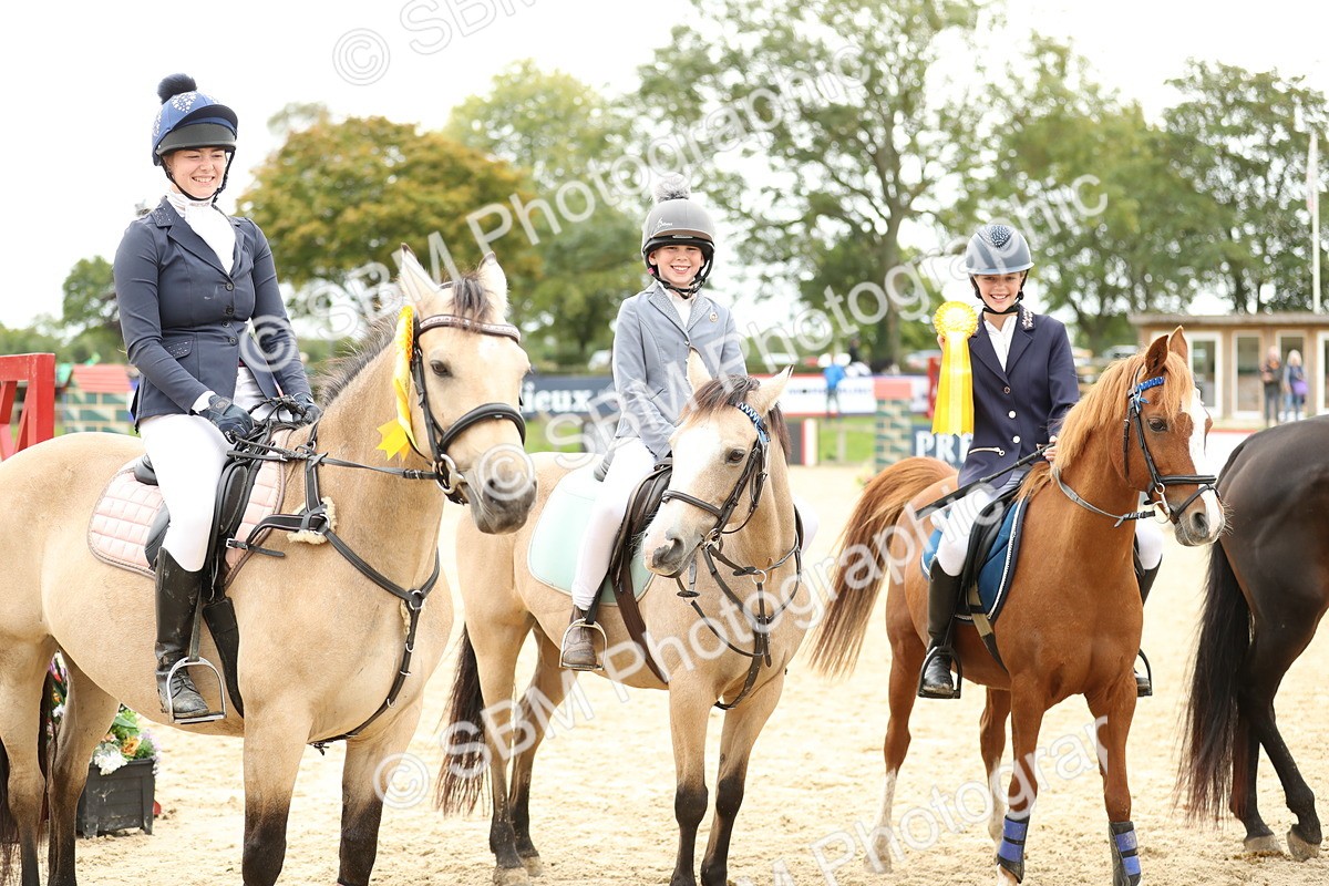 SBM_66066 - J48 - Pairs Jumping Open 70cm & 85cm