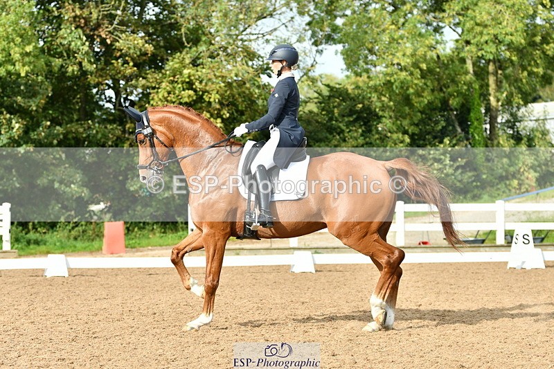 230912A-162814-01780 - Cls 18 FEI PSG