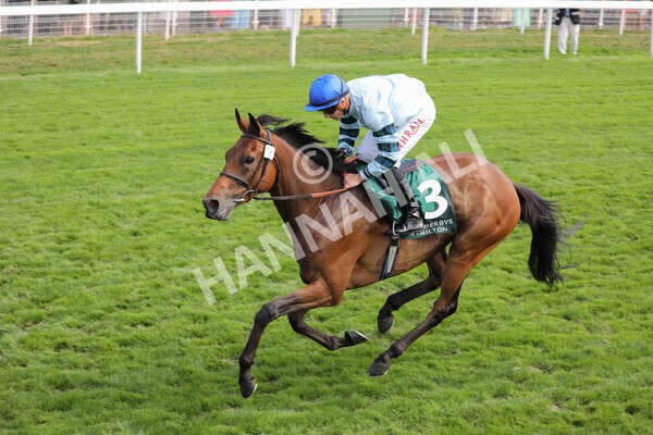 yr19082022r2-39 - Race 2 2.25pm Weatherbys Hamilton Lonsdale Cup (British Champions Series Race)