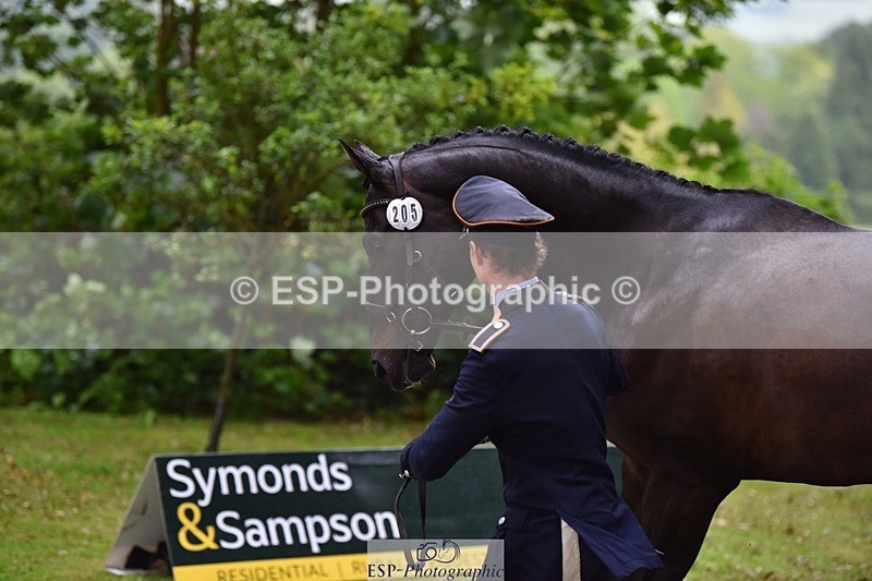 240522-162426-00894 - 205-BENOIT_BOLD-Felix_Etzel