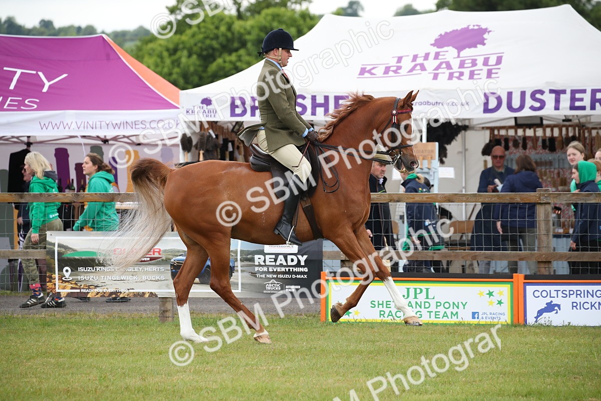 SBM_03609 - Class 21 - 22 - Ridden Arab and Part Bred/Anglo Arab