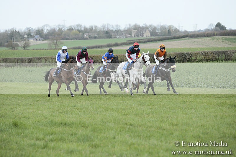 PtP 230319 75 - VWH Hunt Siddington Point-to-Point Racing 23/03/19