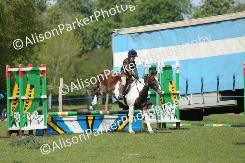 20260426-1781 - Class 14 - Novice 60cm