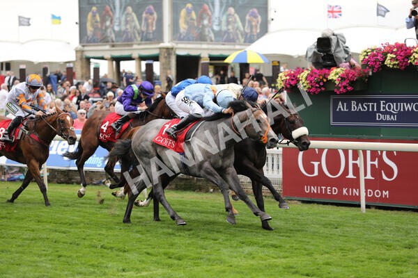 yr18082022r2-38 - Race 2 2.25pm Goffs UK Harry Beeby Premier Yearling Stakes