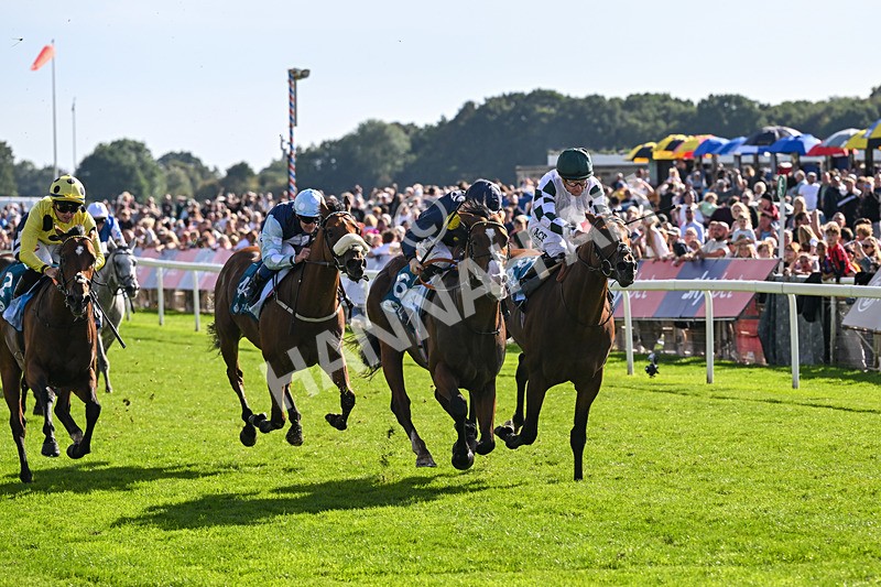 060926-Race 5-Extremely Zain-8394 - Race 5 3.50pm Starman At Tally Ho Stud Garrowby Stakes