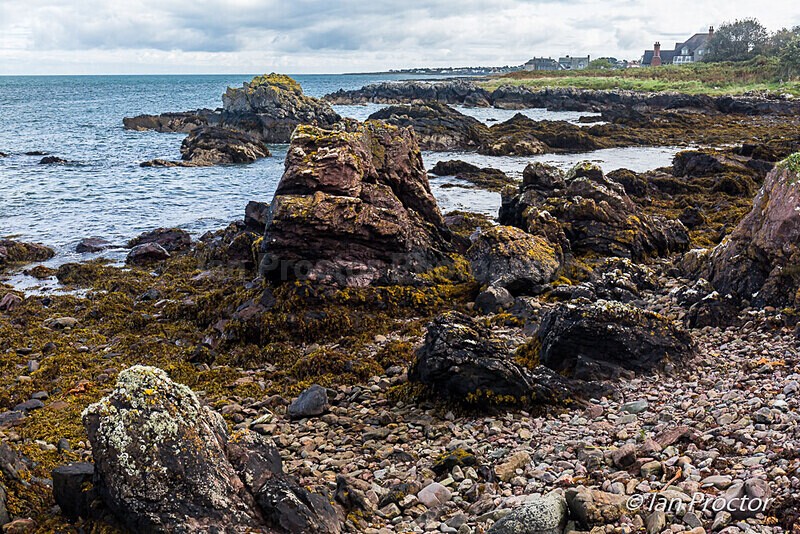Rocky Outcrops of Orlock Point - County Down