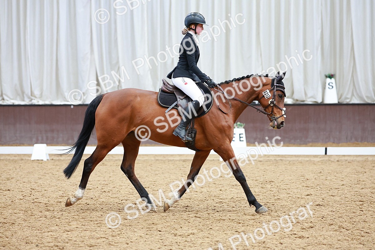 SBM_003330 - Class 11 - Novice 2