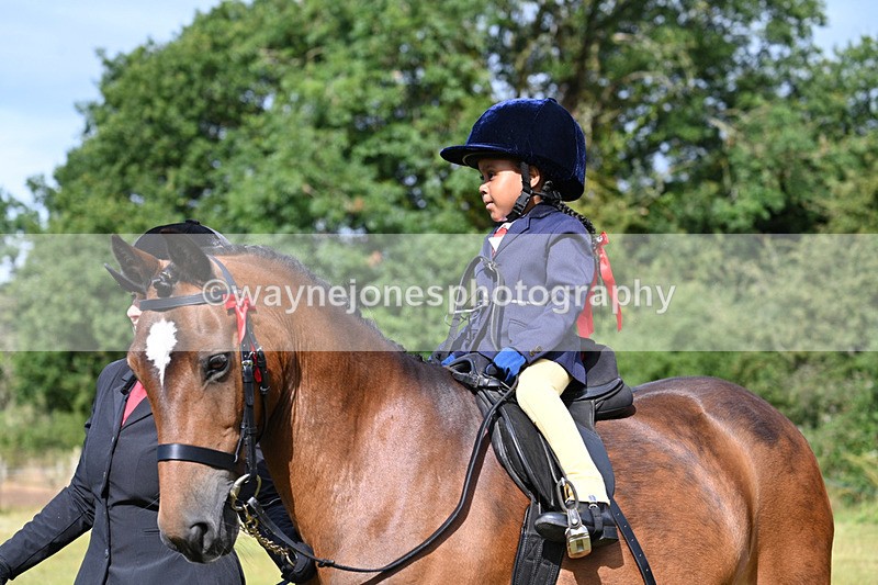 WJ7_4301 - Class 1 Lead Rein Pony