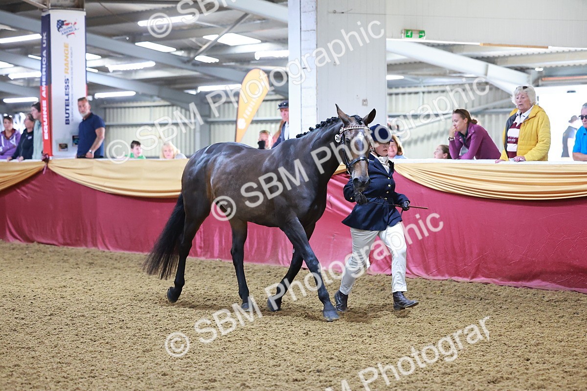 SBM_14725 - Class C - Novelty champ
