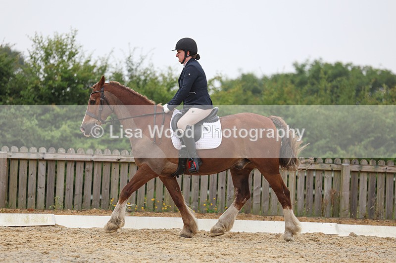 3E7A7999 - Class 1: Intro 3 2024 section A