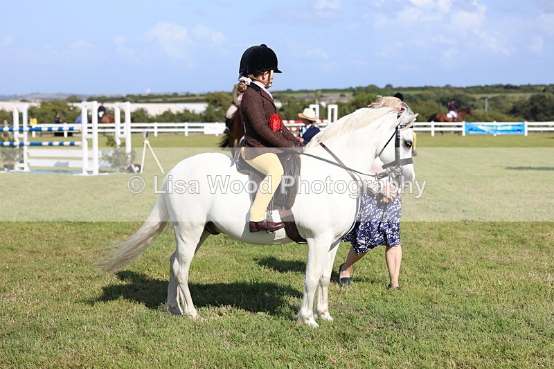 3E7A4105 - Supreme Championship