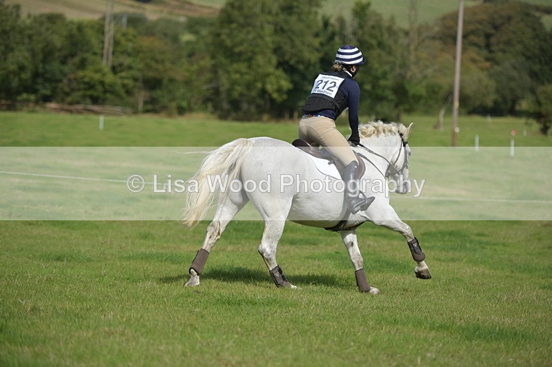 RAY_8852 - Class 2: Trekenning Open: Wall