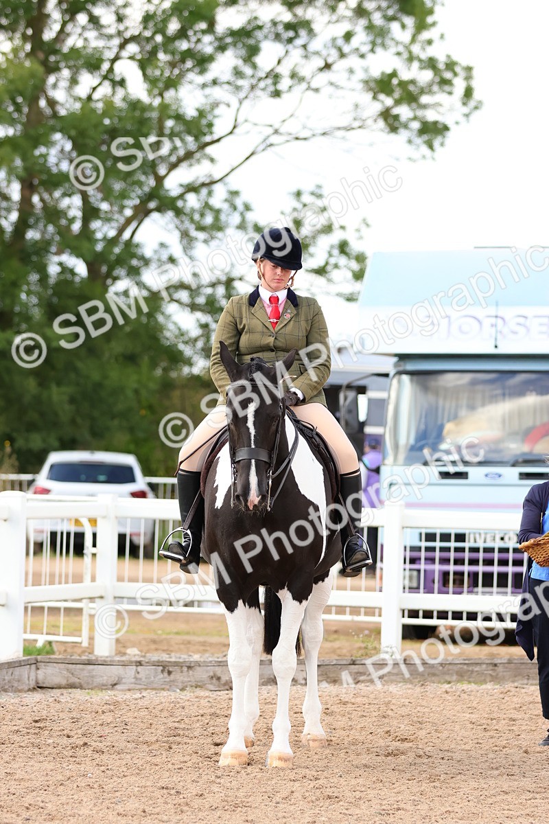 SBM_13565 - Class 212 - Ridden Hunter  - Large