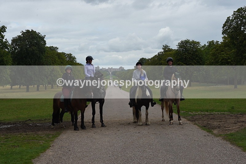 TT3_9949 - Time at Crossing 11:28 to 13:16