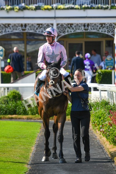 160623-Race 6-Another Investment-0717 - Race 6 4.45pm Irish Thoroughbred Marketing Handicap