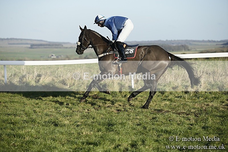 PtP 070118 -484 - Larkhill Racing Club Point to Point Larkhill 07/01/2018