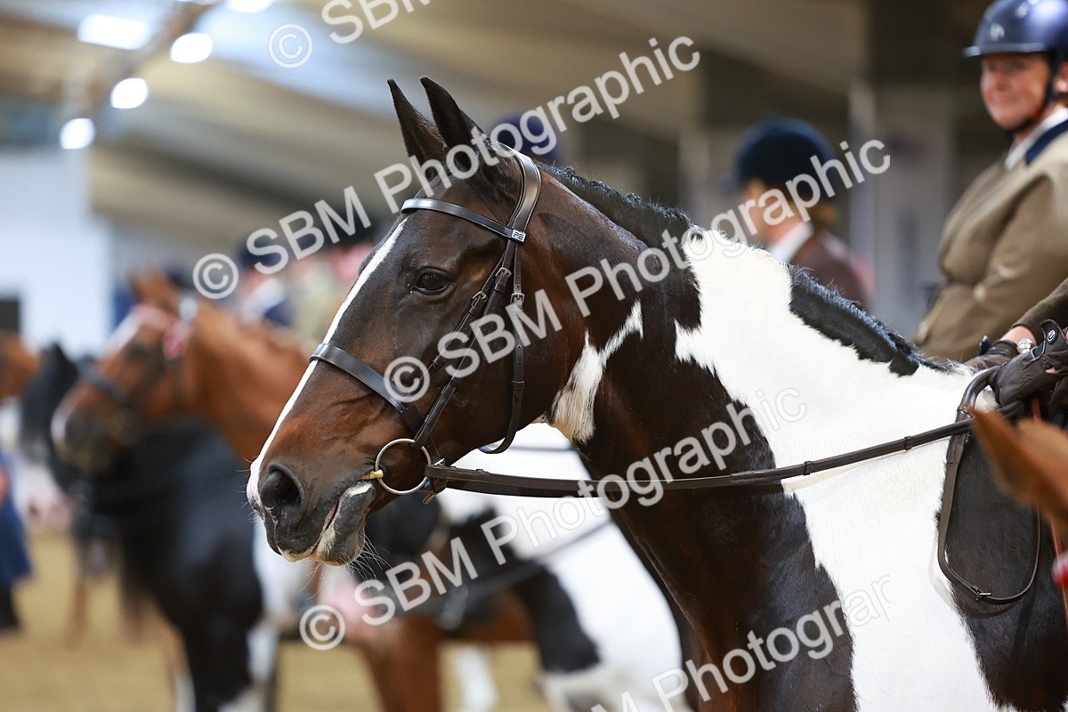 SBM_09680 - Class 102 - HOYS Veteran Qualifier - Ridden Veteran