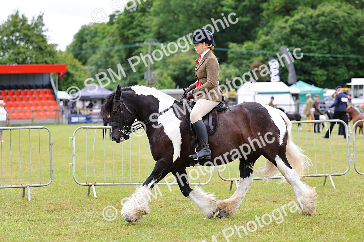SBM_02658 - Class 9-11 Side Saddle including LIHS Rising Star Ladies Show Horse