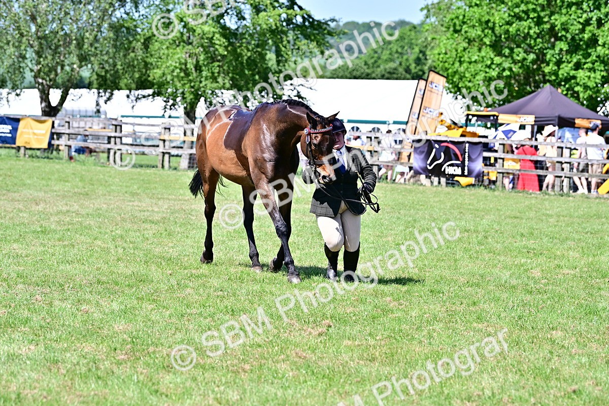 SBM_18234 - Class 99-100 - Retraining of Racehorses Ridden
