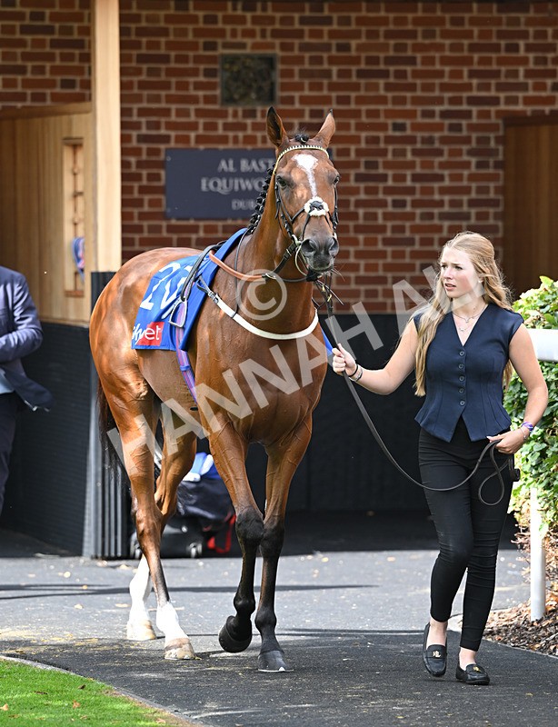 220826-191 Real Dream - Race 4 15.35pm Sky Bet Ebor Handicap