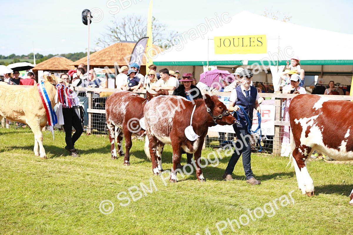 SBM_08332 - Grand Parade