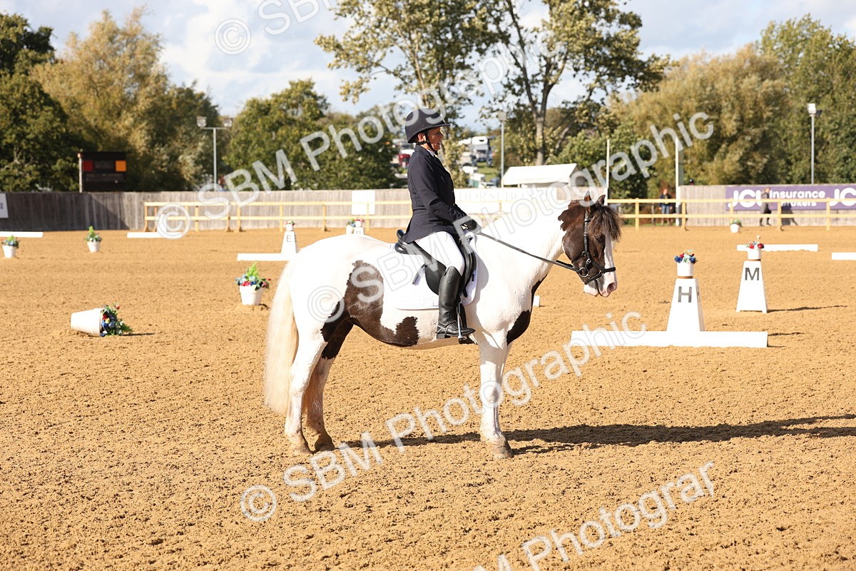 SBM_50445 - D12 - Small Tour Championship prelim 2