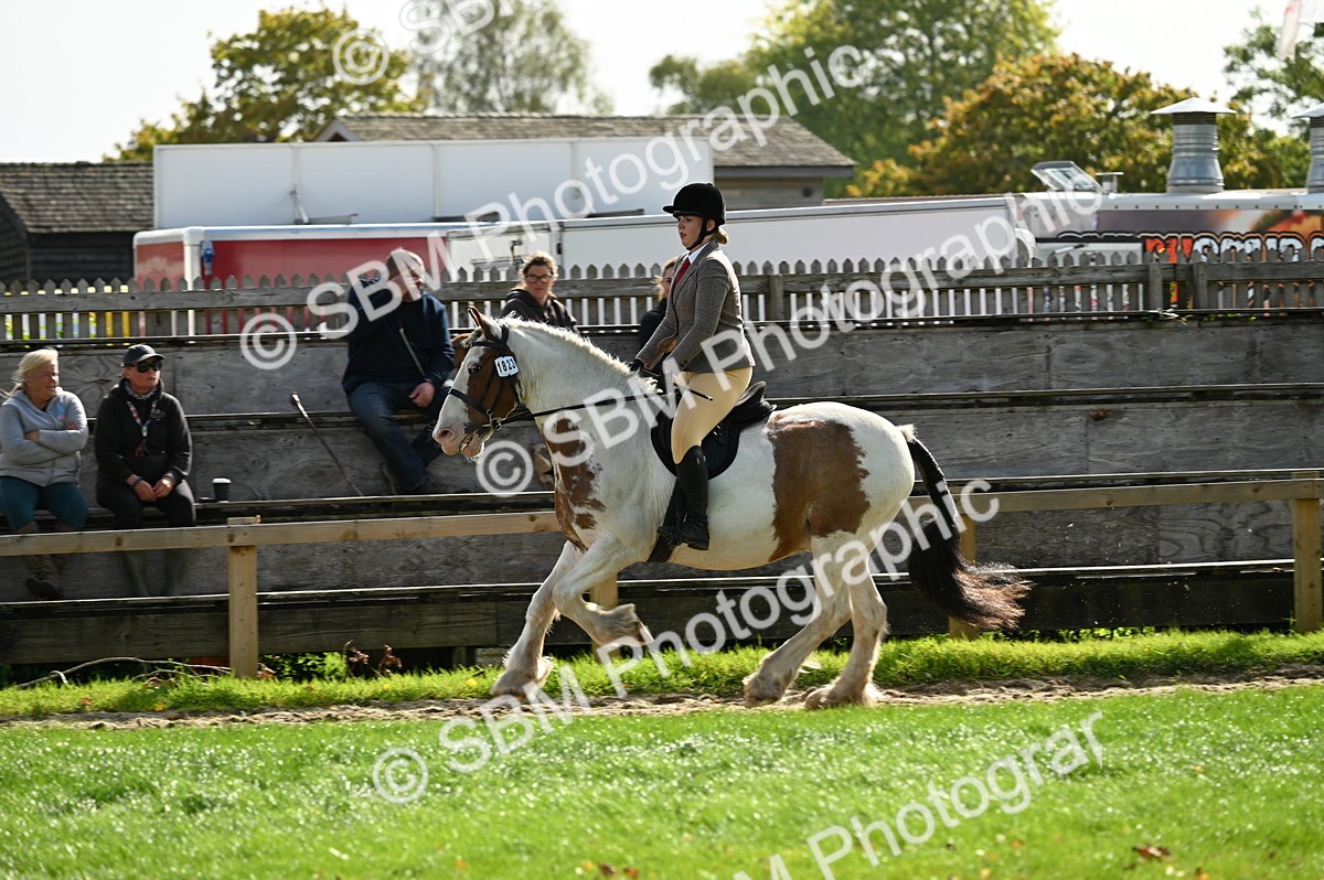 SBM_01846 - S2 - TSR Ridden Horse Showing