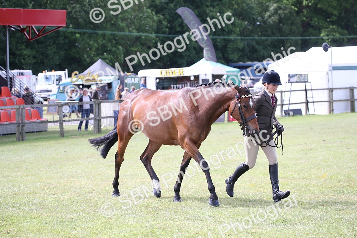 SBM_13260 - Class 95-96 - LIHS BSHA Rising Star Hack Riding Horse