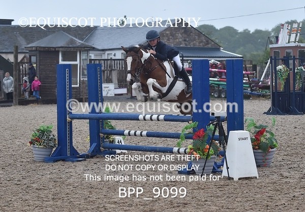 BPP_9099 - CLASS 14 SUN Pony British Novice / 0.80m Open