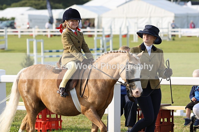 JPP_0143 - Class 14: Cornish Combination Leading Rein