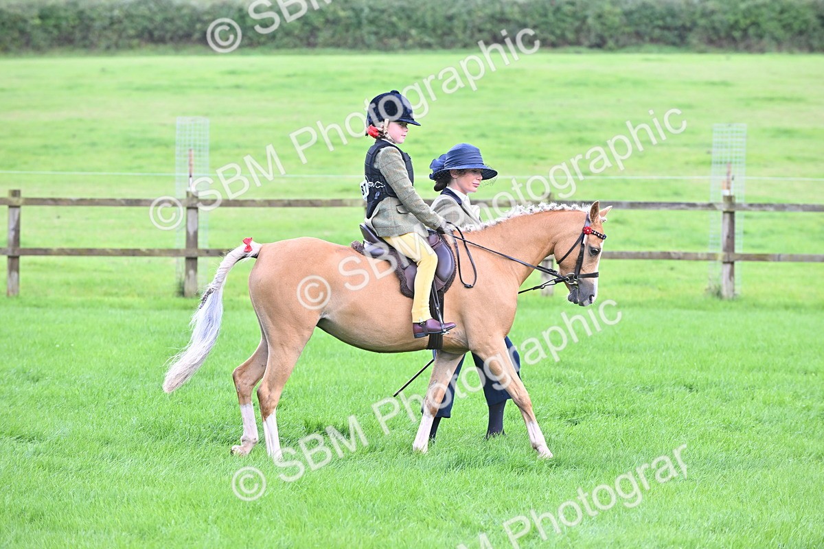 SBM_38318 - S19 - Lead Rein Show & Show Hunter Pony