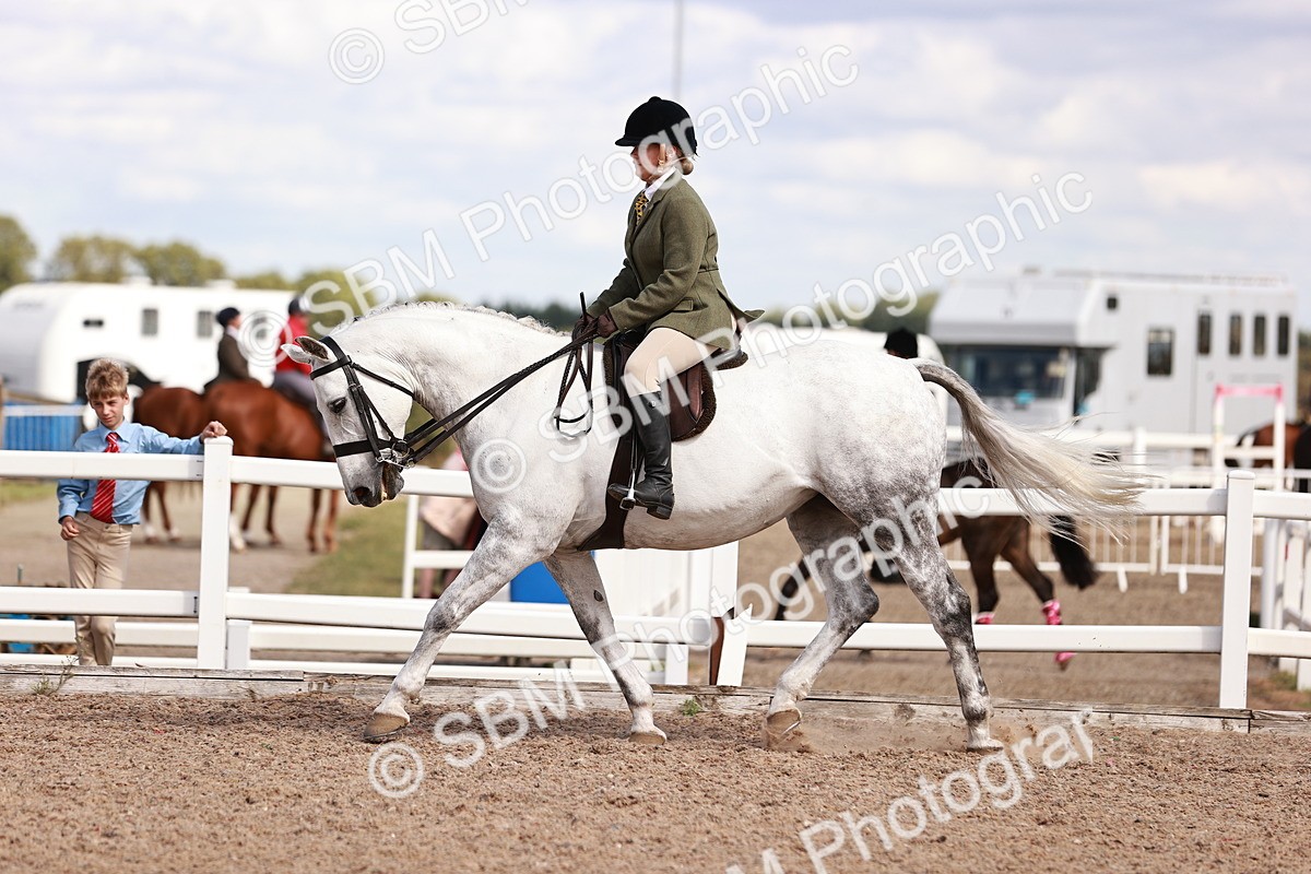 SBM_14455 - Class 410 - Grassroots Ridden - Horse