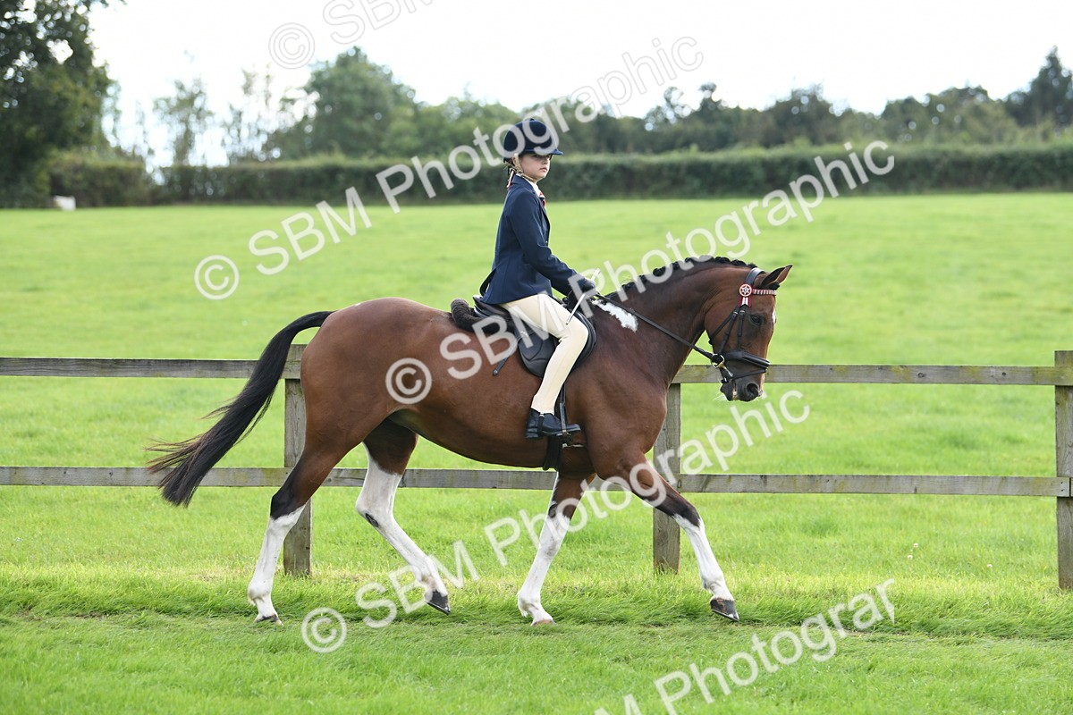 SBM_46746 - S12 - Family Horse & Pony