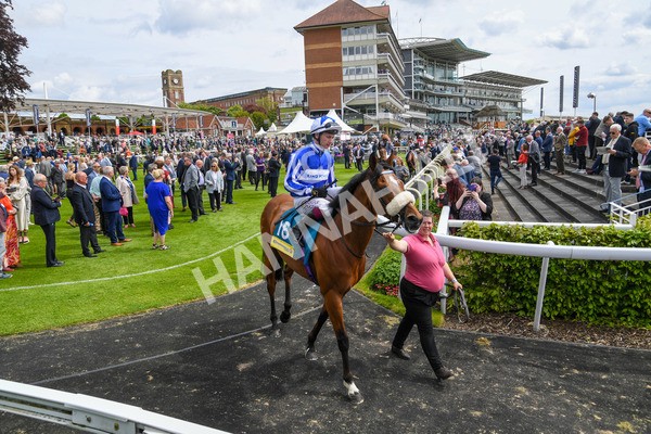 170523-Race 2-Bielsa-0279 - Race 2 2.25pm Churchill Tyres Handicap