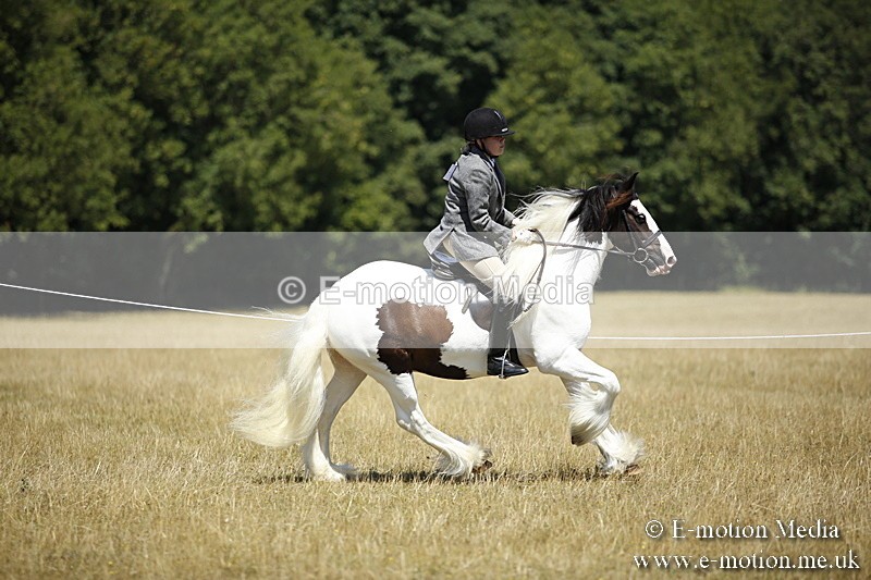 _C7A9872 - BVRC Show 2018 Ring 1