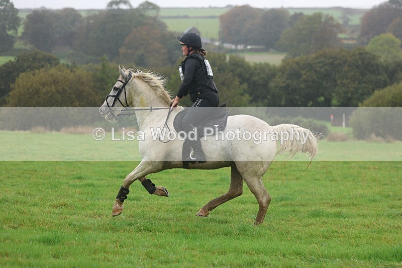 3E7A0972 - Class 1: 65cm: Rails