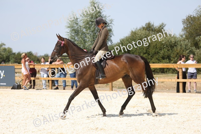 20260802-0749 - Class 8 - Best Riding Horse or Pony