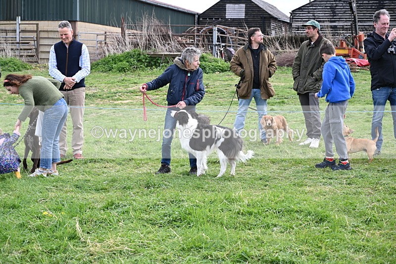 WJ6_8532 - Class 6 Best Rescue