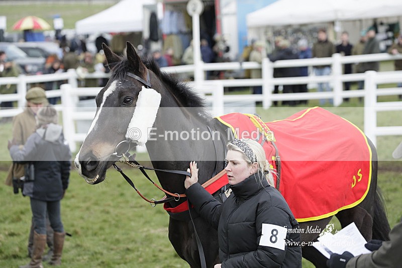 PtP 260323 0869 - New Forest Hounds Point-to-Point Larkhill 26/03/23