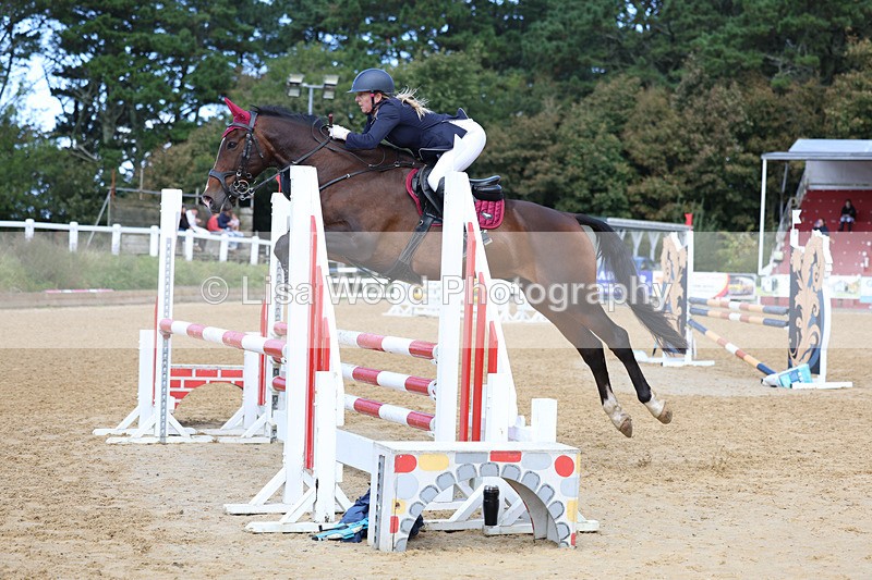 3E7A9115 - Class 9: Senior British Novice/90cm open