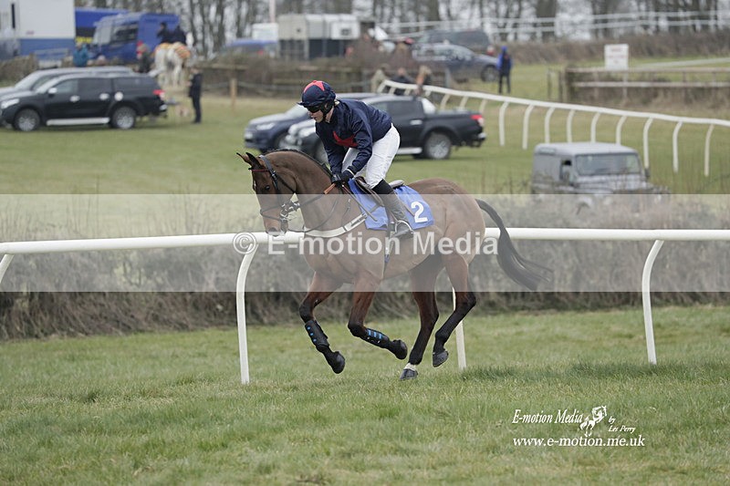 PtP 040323 302 - Duke of Beauforts Hunt Point-to-Point Didmarton 04/03/23