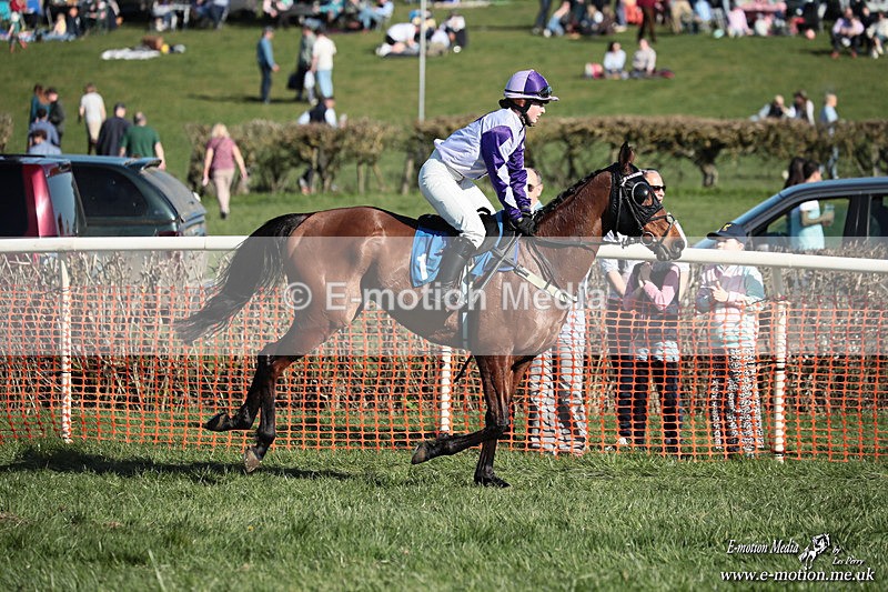 PtP 210326 635 - VWH Cirencester Races 21/03/26